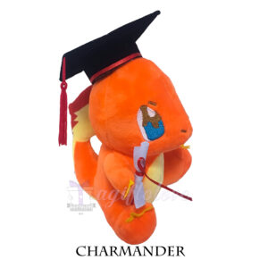 Charmander - Image 3