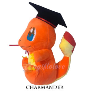 Charmander - Image 4