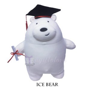 Ice Bear