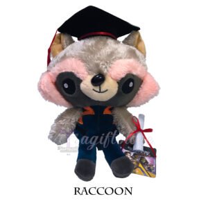 Raccoon