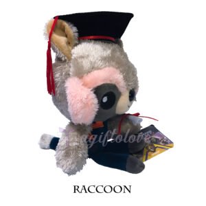 Raccoon - Image 3