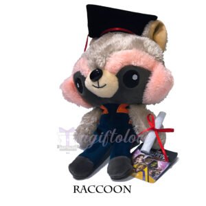 Raccoon - Image 4