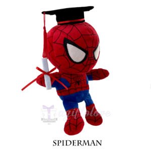 Spiderman - Image 6