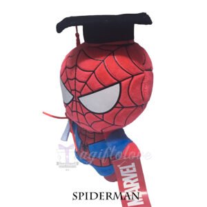 Spiderman - Image 2